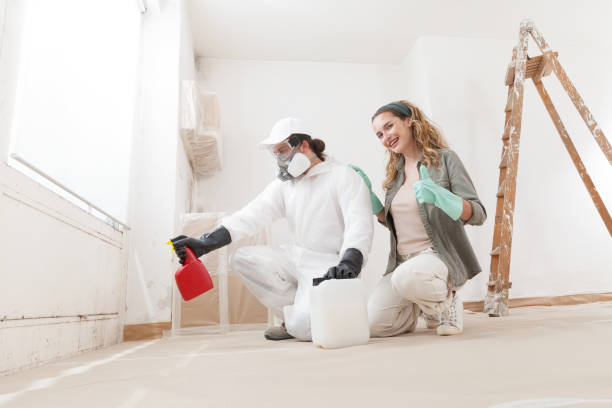 Bridgeport, OH Mold Removal Company